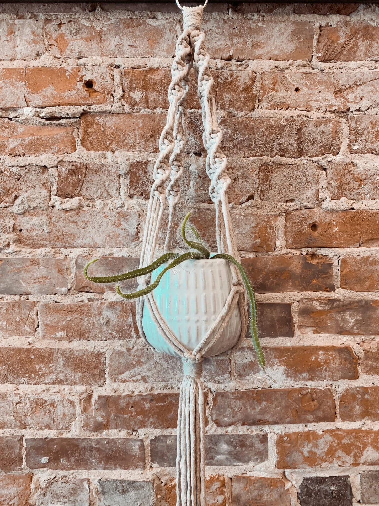 Macrame Plant Hanger Workshop - May 2, 2026